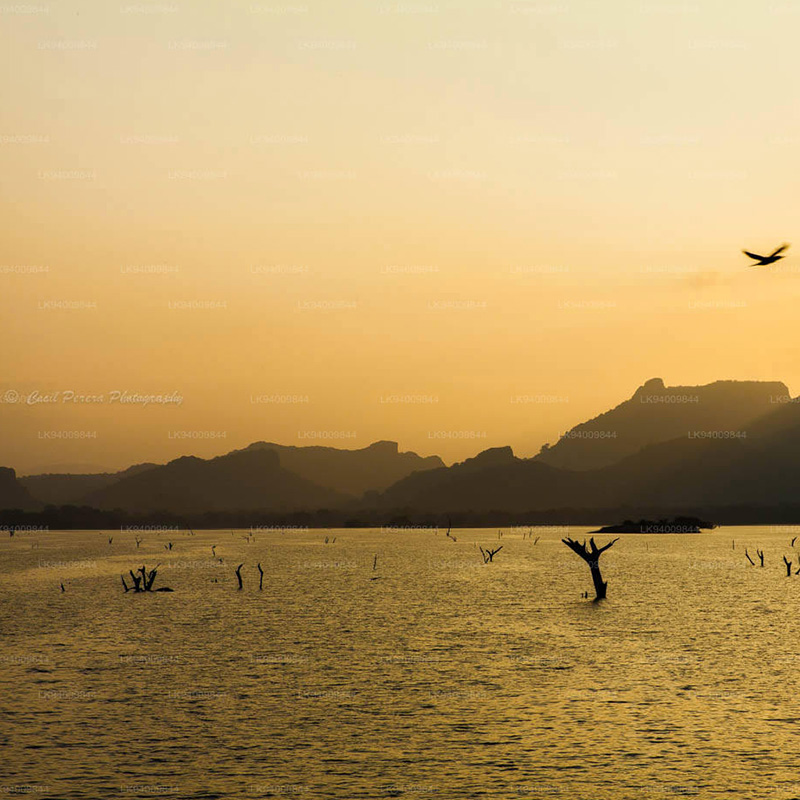 Kandalama Lake : A Tranquil Jewel Amid Sri Lanka’s Cultural Heartland
