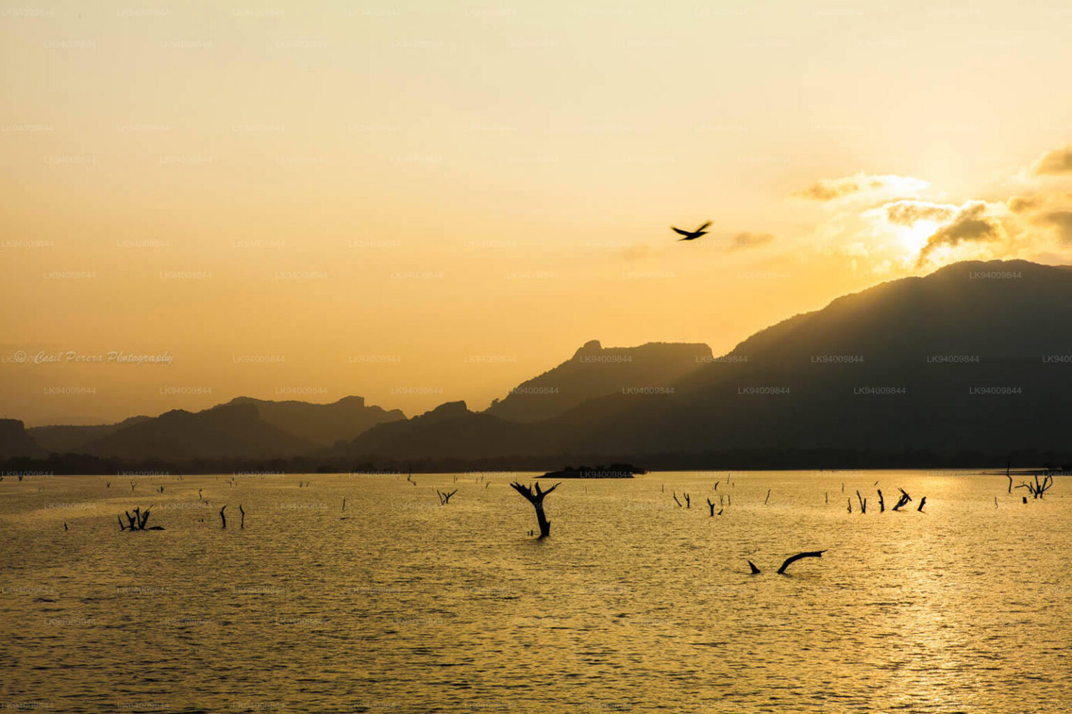 hotels near kandalama lake